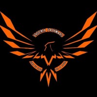 Phoenix Pathways logo - Similar company to Phoenix Pathways Ltd.