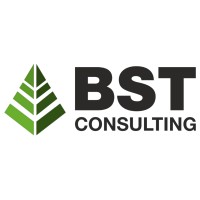 Бізнес-школа BST Consulting logo - Similar company to Бухгалтерські Послуги. Quickbooks. Фінансовий Консалтинг. Бізнес-Планування. +380974488134