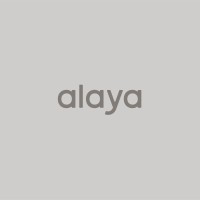 Alaya Socials logo - Similar company to Zero People