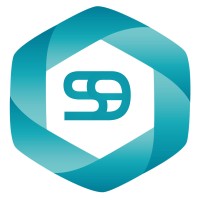 Salmnine Holdings logo - Similar company to Roi Safe