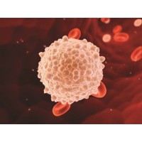 National Neutropenia Network, Inc.