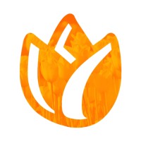 Dutch Health Store logo - Similar company to Widget System