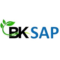 BKSAP IT SOLUTIONS logo - Similar company to It Reddy, Llc