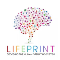 The LifePrintOS - Coaching & Change-Management CMS Suite logo - Similar company to 3 Plus Tv Network Ag