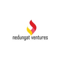 Nedungat Ventures logo - Similar company to Nedungat Constructions