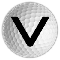 VIRTUAL GOLF logo - Similar company to Satya Advisors