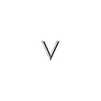 VERZUN logo - Similar company to Consorto