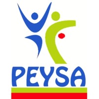 PEYSA CONSULTORES logo - Similar company to Listatree