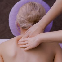Massage Therapists logo - Similar company to Global System Of Integrated Studies