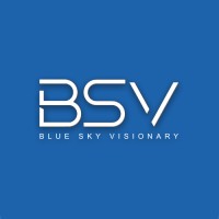 BSV logo - Similar company to Bsv Electronic