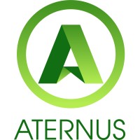 Aternus Group logo - Similar company to Arkada