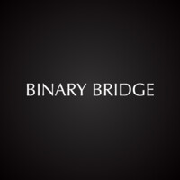 바이너리브릿지 (Binary Bridge) logo - Similar company to Naviworks
