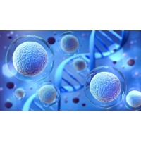 VEL Sciences logo - Similar company to Bessor Pharma