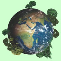 Terapias Naturales logo - Similar company to Reflexologia Y Bienestar