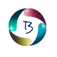 Blossom Ad Network logo - Similar company to Ad Oxygen