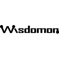 Wisdomon logo - Similar company to Fujitsu Frontech