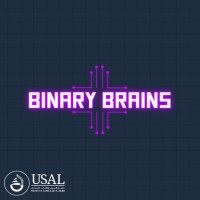 Binary Brains logo - Similar company to Pradyog