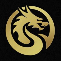 Dragon Holdings logo - Similar company to Dragon Holding Group
