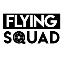 Flying Squad logo - Similar company to Flying Squad Incident Investigation & Analysis