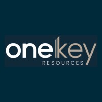 One Key Resources logo - Similar company to Drivesec
