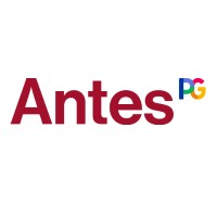 Antes logo - Similar company to Ipse De Bruggen