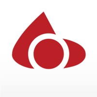 BBD logo - Similar company to Entelect