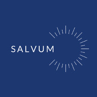 Salvum logo - Similar company to Swob Bv