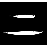 Tanjiro Pty Limited logo - Similar company to Connexian