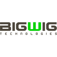 Bigwig Technologies logo - Similar company to Big Wings Technologies