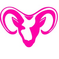 Capricorn Retail Advisors logo - Similar company to Xcube.Co