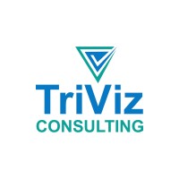TriViz Consulting logo - Similar company to Mojid Solutions Llc