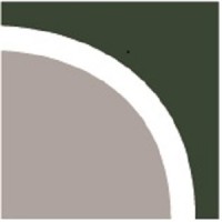 Nova Natie nv logo - Similar company to Treasurymetrics
