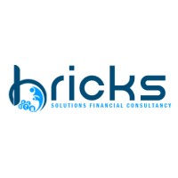 Bricks Solutions Financial Consultancy logo - Similar company to Ejarcar.Com