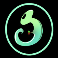 Chameleon Consulting Fx