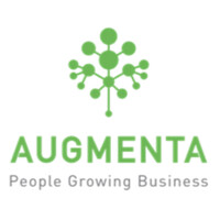 Augmenta Consulting logo - Similar company to Augmenta Consulting