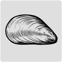 Ocean Ceramics logo - Similar company to Technirub International