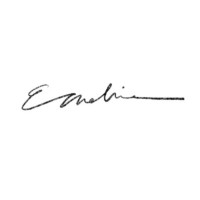 Emeline Studios LLC logo - Similar company to Rain Everywhere