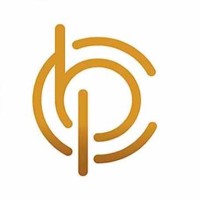Paradox Business Consultancy logo - Similar company to Fiscale Ltd