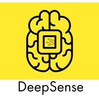DeepSense logo - Similar company to Veyla