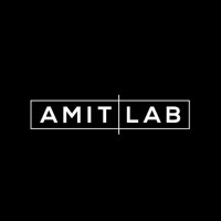 Amit Lab logo - Similar company to Gateway Institute For Brain Research