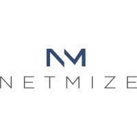 NETMIZE logo - Similar company to Gelio
