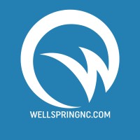 Wellspring NC logo - Similar company to Fund Direct Advisors, Inc.