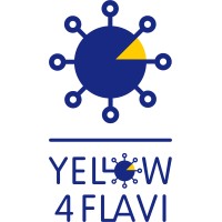 Yellow4FLAVI logo - Similar company to Amogh Diagnostic Solutions Pvt Ltd