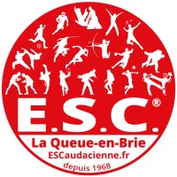 Entente Sportive Caudacienne logo - Similar company to Dm Services