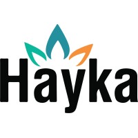 Hayka logo - Similar company to Bisineer Engineering (India) Private Limited