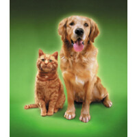 Hudson Valley Pet Food Pantry logo - Similar company to Flemington Area Food Pantry