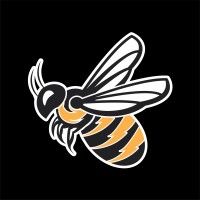 BeeVolt Júnior logo - Similar company to Beevolt
