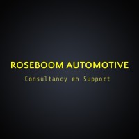 Roseboom Automotive - Consultancy en Support logo - Similar company to Direct Access