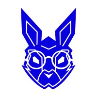 BunnyChain Academy logo - Similar company to Bunnychain