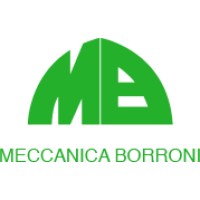 Meccanica Borroni s.r.l. logo - Similar company to B.P.T. Borroni Powertrain - Streparava Plant
